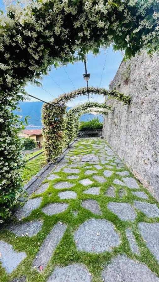 Lake View, Swimming Pool, Tennis Court And Private Parking Mezzegra Bagian luar foto
